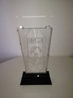 2011 PMI Distinguished Contribution Award